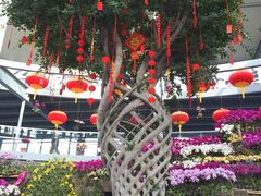 -南通洲际绿博园