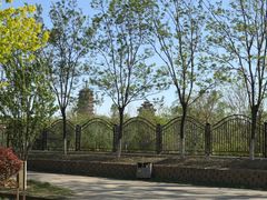 -永定河休闲森林公园