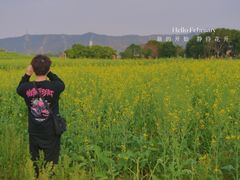 -光明小镇欢乐田园