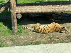 -西安秦岭野生动物园