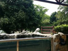 -新加坡飞禽公园