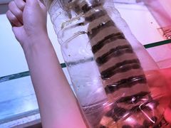 -海盗餐厅