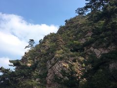 -景忠山旅游区