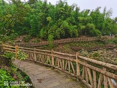 -沐川竹海旅游景区