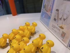 -豪叔椰冰(青春颂店)