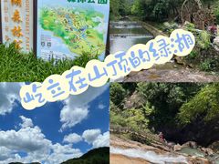 -广州白江湖森林公园