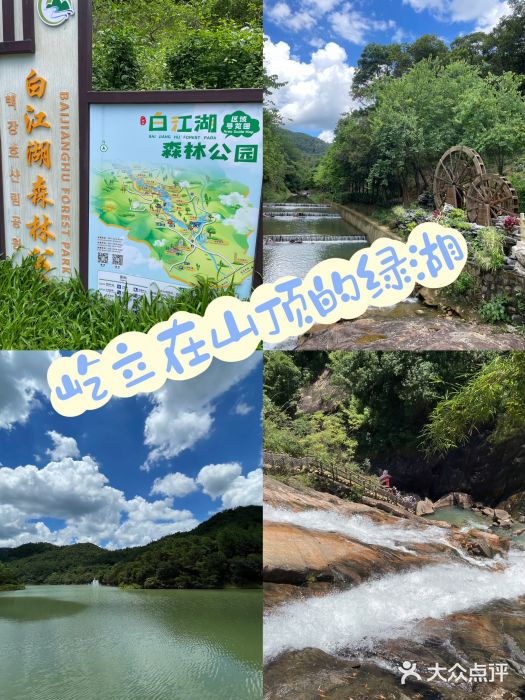 广州白江湖森林公园图片