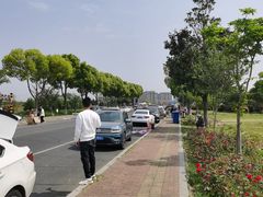 -漕湖湿地公园