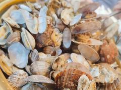 蒸汽海鲜-四海蒸鲜蒸汽海鲜自助(北戴河店)