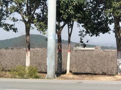 -秦始皇帝陵博物院-丽山园