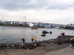 -台场海滨公园船码头