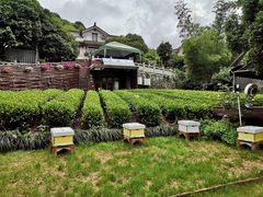 -自在弥林花园餐厅(云栖店)