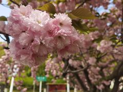 -江南大学(蠡湖校区)