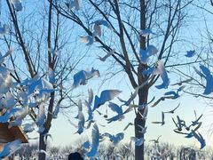 -天津妈祖文化园