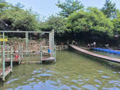 -广东天露山旅游度假区