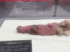 -巴音郭楞蒙古自治州博物馆