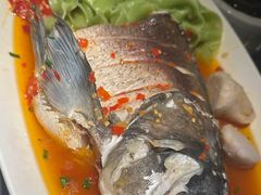 -凤凰湘语(浦东旗舰店)