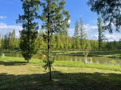 -黄海国家森林公园