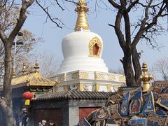 -护国法轮寺