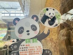 -常州淹城野生动物世界
