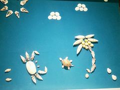 -青岛贝壳博物馆