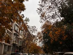 -天津五大道文化旅游区