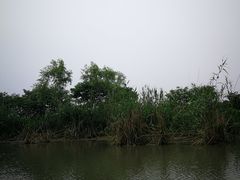 -同里国家湿地公园