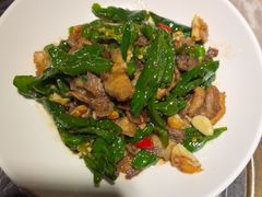 -新渝城·川菜·火锅(区庄店)