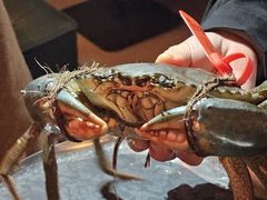 -Ministry of Crab•MOC(交子大道店)