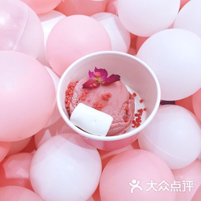 rosa图片 - 第3张