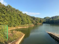 -中山市树木园