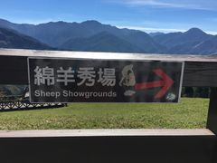 -台北101