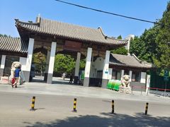 -团结湖公园