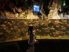 -左海海底世界