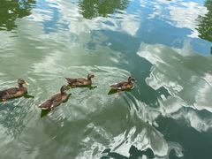 -侯臣咖啡文化村