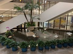 -广州白天鹅宾馆