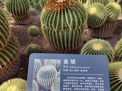 -北京植物园-展览温室