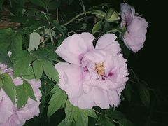 -迎泽公园