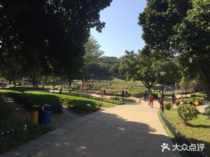 天河儿童公园图片