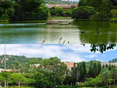 -厦门大学(思明校区)