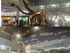 -自贡恐龙博物馆