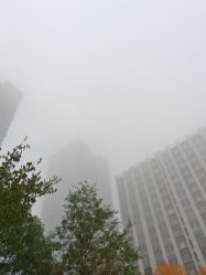 -HEYAN荷妍专业脱毛连锁机构