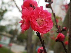 -夏津德百度假村温泉
