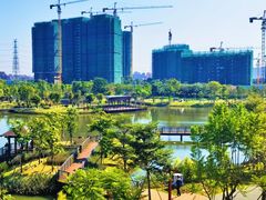 -王借岗森林公园