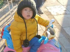 -大自然农场蔬菜草莓采摘园