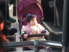 -弘祥蜂蜜大麻花(校场街店)