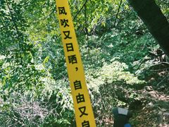 -濂泉响谷