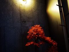 -39°·叁十九度·浴足SPA(龙湖滨江天街总店)