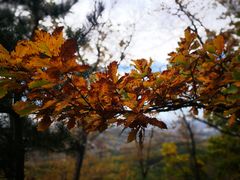 -帽儿山国家森林公园