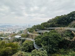 -福道